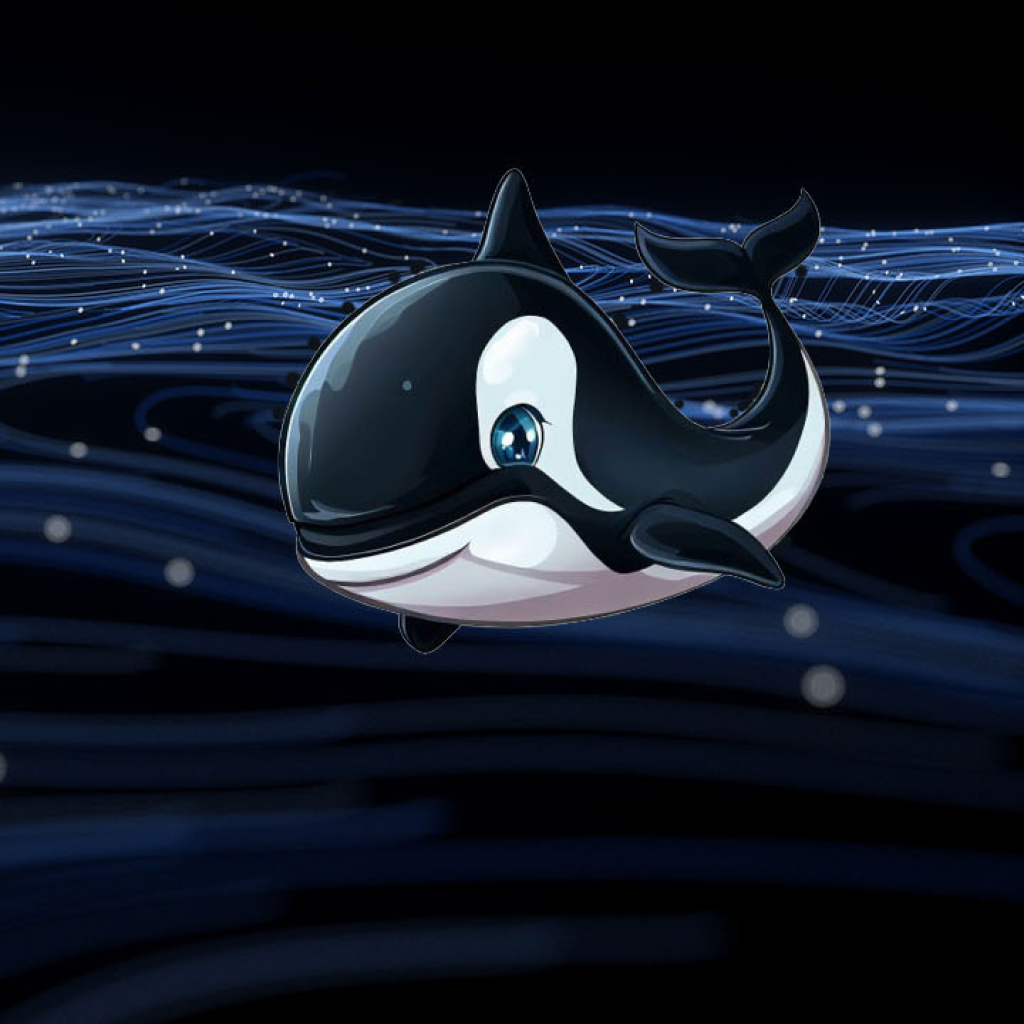 Orca